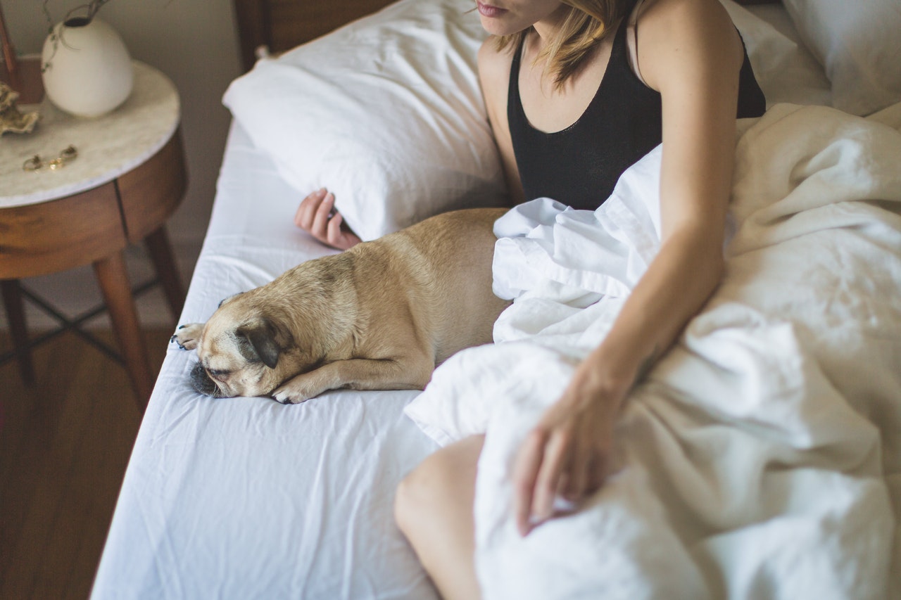 Kvinde ligger i seng med en hund